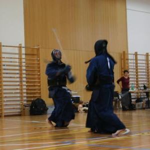 gallery__image