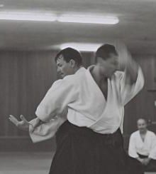 gallery__image